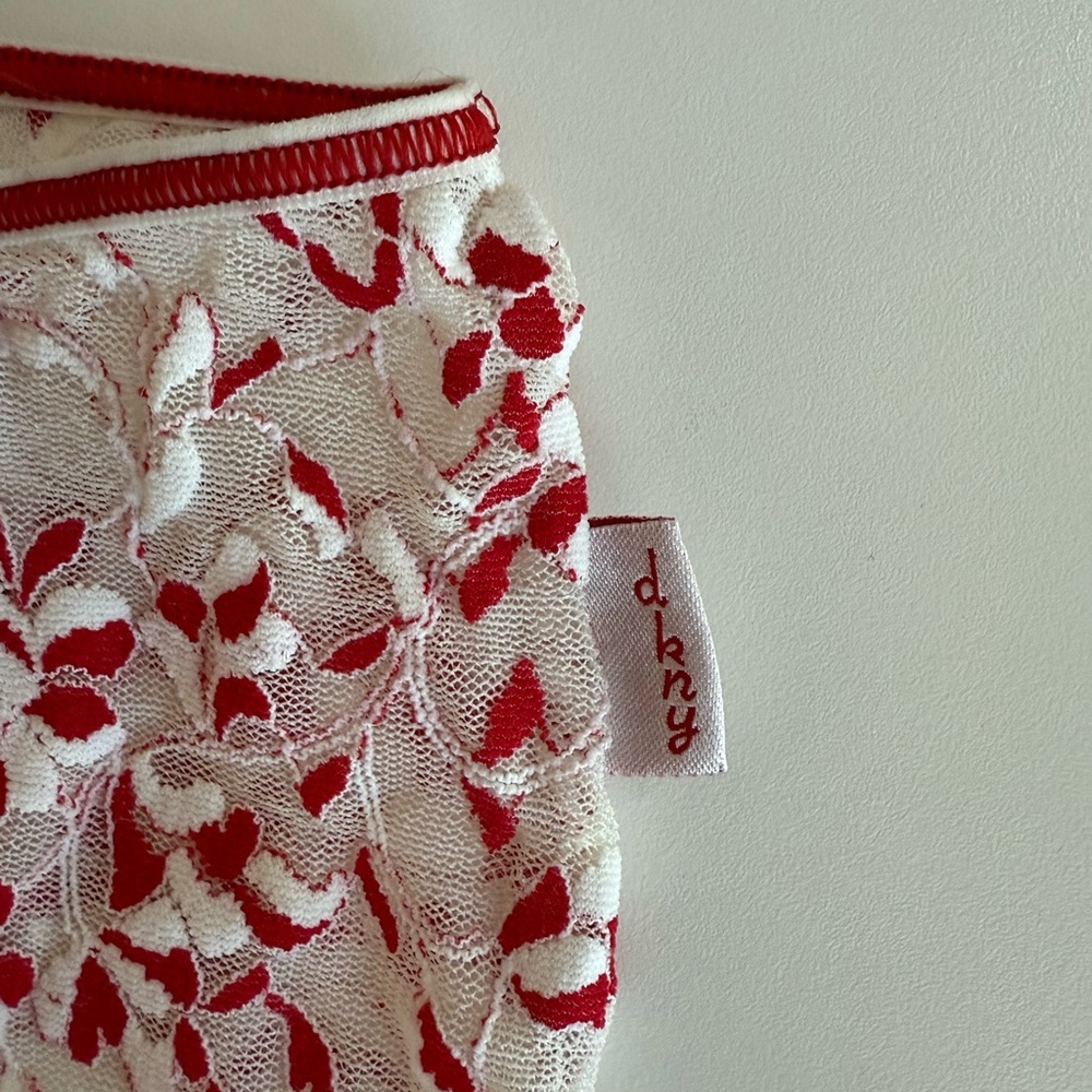 DKNY Sheer Lace Boyshorts Panties – Red & White Floral Embroidery, Size M, NWOT - Picture 5 of 6